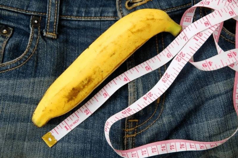 Penis length